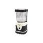 LE 8W LED lamp, Super Bright 300lm, Garden and camping lights, battery operated (tool)