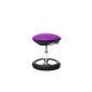 Topstar SC79S07 children fitness stool Sitness Kid 20, reference purple (household goods)