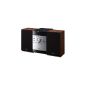 Sony CMT-EH25 compact system (USB connection) wood / black (Electronics)
