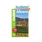 The best guide for an Alsatian