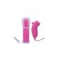 Remote and Nunchuk Controller + Case for Wii (Pink) (Electronics)