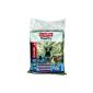 Cattails Timothy hay Care + Hay / Beaphar - Bag of 1 Kg (Miscellaneous)