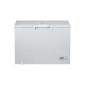 Bauknecht GT 219 A3 + freezer / A +++ / freezing: 215 L / energy consumption: 120 kWh / year / interior lighting / ECO Energy Saver / child lock (Misc.)