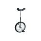 Luxury unicycle 16 'inch chrome with Schwalbe tires (Toys)