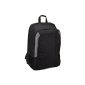 AmazonBasics AB 102 Laptop Backpack (Electronics)