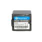 Replacement Battery for Panasonic VW-VBG 260