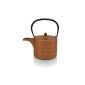 Beka 16409214 Shang Bronze Cast Iron Teapot (Kitchen)