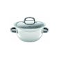 Silit 2224173511 cooking bowl of D 24 cm Polar White (Kitchen)