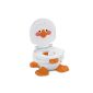 Mattel T6211 - Fisher-Price Baby Gear Ducky potty & footstool (Baby Product)