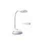 Daffodil LEC150 - Reading Lamp LED - Flexible Desk Lamp 12 LEDs - White (Electronics)