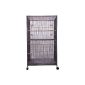 Strong aviary Oklahoma, anthracite, 100x76x182 cm (Misc.)