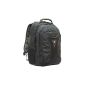 Wenger Carbon 43.1 cm (17 inches) Notebook Backpack, Black (Personal Computers)