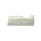 Cherry KB-0556G-J82-16199LPNDE 0 PS / 2 keyboard QWERTY German DE beige (Electronics)