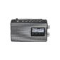 Panasonic RF-D10EG-K DAB + Digital Radio (Electronics)