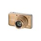 Canon PowerShot SX210 IS Digital Camera (14 Megapixel, 14x opt. Zoom, 7.6 cm (3 inch) screen) gold (electronics)