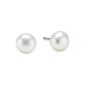Teno Ladies Earrings TeNo with white freshwater pearls button 039.22PW01 (jewelry)