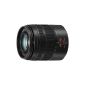 Panasonic Lumix G Vario H FS45150E-K telephoto zoom lens 45-150mm / F4,0-5,6 ASPH. / MEGA OIS image stabilizer (Electronics)