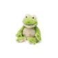 Soframar Cozy Plush Frog Bouillotte (Health and Beauty)