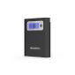 NINETEC Power Bank battery charger 13,000 mAh external USB for Smartphone Tablet NT-568 black (Office supplies & stationery)