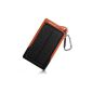 Poweradd Apollo 7200mAh High Solar Panel Portable Charger Battery Power Bank for smart phones (7200mAh, Black) (Electronics)