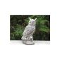 Stone figure owl bird owl big 42 cm about 14 kg Frost water resistance Stone # 219