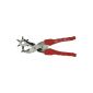Famex 3519 revolver punch pliers Leverage 70% more power (Germany Import) (Tools & Accessories)