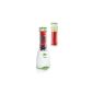 Severin Fit for Fun SM 3735 Blender Smoothie Mix and Go, 600 ml, white / green (household goods)