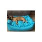 Dog Bed + dog cushion Dog Sofa Dog Basket pet bed Different sizes and colors (size 5 - 100cm x 70cm x 25cm, turquoise) (Misc.)