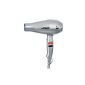Fripac Mondial professional hairdryer Light & Quiet, Silver (Personal Care)