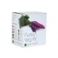 Plant vegetables Theatre Funky Kit - 5 unusual vegetables for self-cultivation (garden products)