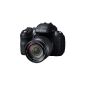Fujifilm FinePix HS30EXR Digital Camera (16 Megapixel, 30x opt. Zoom, 7.6 cm (3 inch) display, image stabilized) (Electronics)