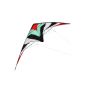 XXL kites incl. Accessories and carrying case (Toys)