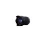 Panasonic Lumix G Vario Lens 7 -14 mm (Accessory)