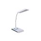 Daffodil LEC200 USB LED lamp - USB desk lamp / keyboard light / reading light / reading lamp - compatible PC and MAC - - with 12 superbright LEDs no batteries required (White) (tool)