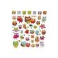 Set / Stickers - Owls on branch colorful owl (Toys)
