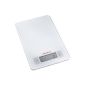 Soehnle 66100 Page White Balance Electronics 5kg / 1g (Kitchen)