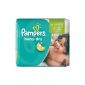 Pampers Baby Dry diapers Gr.  5 Junior 11-25 kg Monatsbox, 1er Pack (1 x 144 pieces) (Health and Beauty)