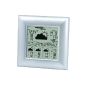 Technoline WETTERdirekt station WD 9000, silver, 2-piece consisting of station and sensor (garden products)