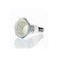 An LED spotlight, economical and well