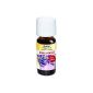 Soehnle 68068 Lavender fragrance oil, 10 ml (household goods)