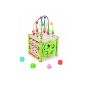 EverEarth - EE32695 - First Age Toys - My First Wooden Activity Cube FSC (Toy)