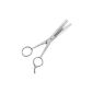 Thinning hair scissors 6 inch 17 cm stainless steel (Personal Care)