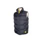 Caterpillar C430 Black Quilted Bodywarmer isolated (Miscellaneous)
