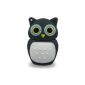 No13700080008 8GB USB FLASH DRIVE FIGURE FUNNY BIRD OWL (Electronics)