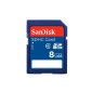 SanDisk SDSDB-8192-BULK 8GB Secure Digital Class 4 Memory Card (Personal Computers)
