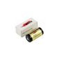 Efest 18350 900mAh 3.7V protected gold (positive increase) (Health and Beauty)