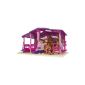 Simba 105737206 Evi Love - Evis Ponyhof, including Evi Doll and pony (Toys)