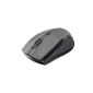 Trust 18259 Long-life Wireless Optical wireless mouse (1600dpi, USB) (Accessories)