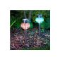 Special Offer: Set of 6 Solar Lamps to Piquet in stainless steel with LED Changing Color Lights4fun
