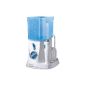 Waterpik Waterflosser NANO - WP250 (same WP300 without travel cover) (Health and Beauty)